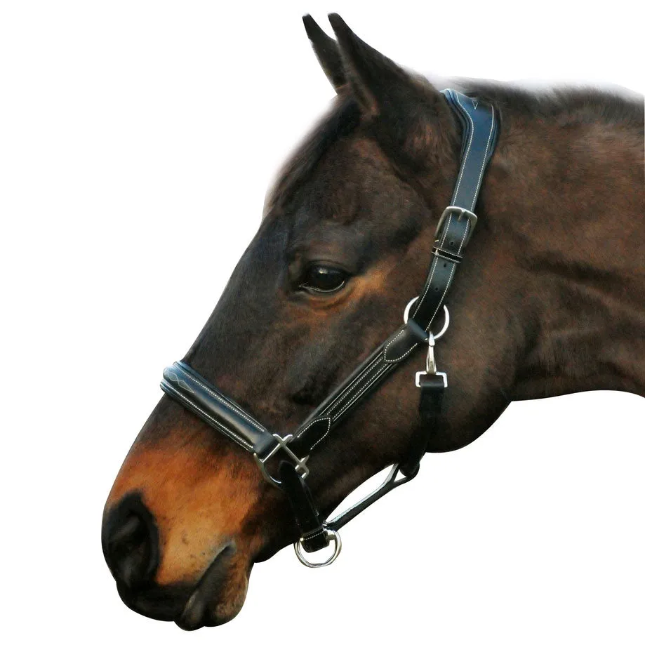 Henri de Rivel Stress Free halster australian nut cob