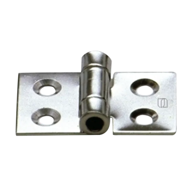 HS Sprenger Scharnier 50x30 mm RVS 4-gaats