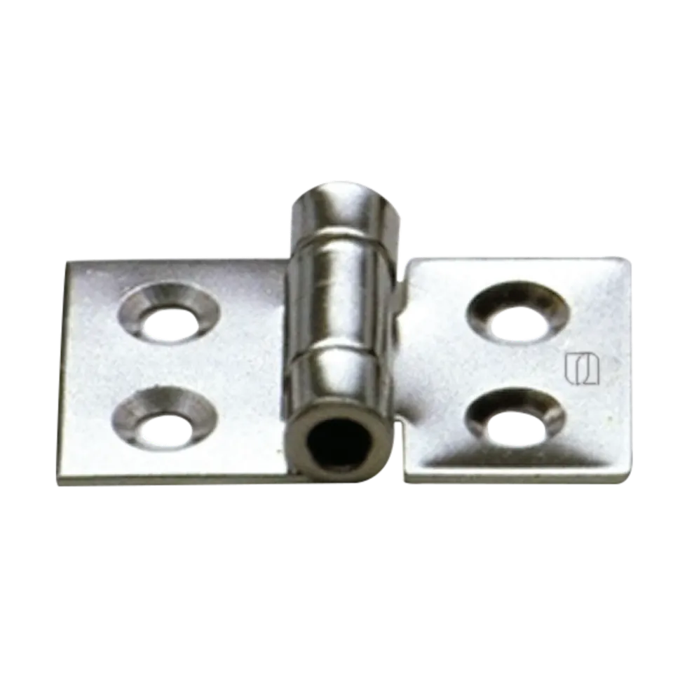 HS Sprenger Scharnier 50x30 mm RVS 4-gaats