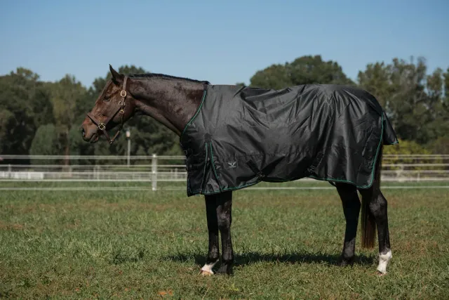 TuffRider Comfy winterdeken 200 gram zwart waterdicht