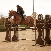 Vestrum Aldebaran Oornetje met Glitter Logo