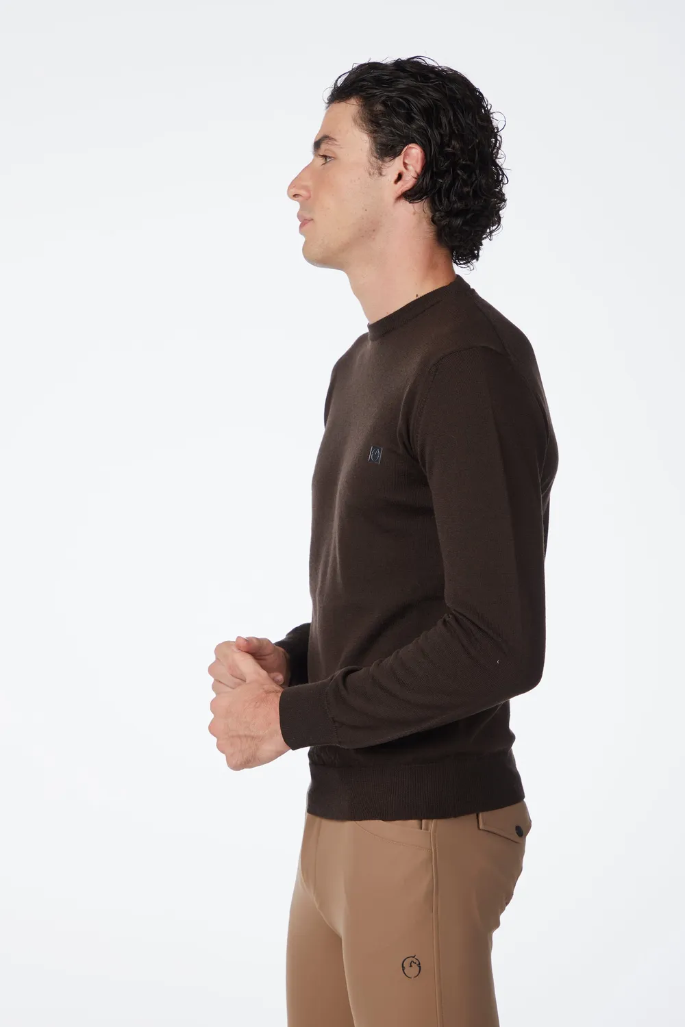 Vestrum Rieti trui heren merino ronde hals