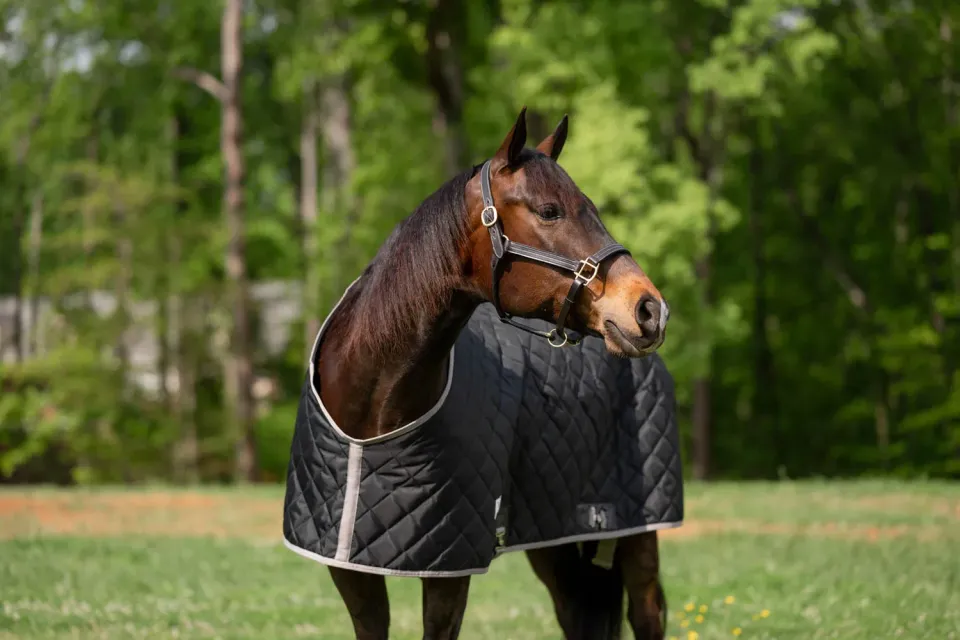 TuffRider Shelter staldeken medium zwart-grijs 76
