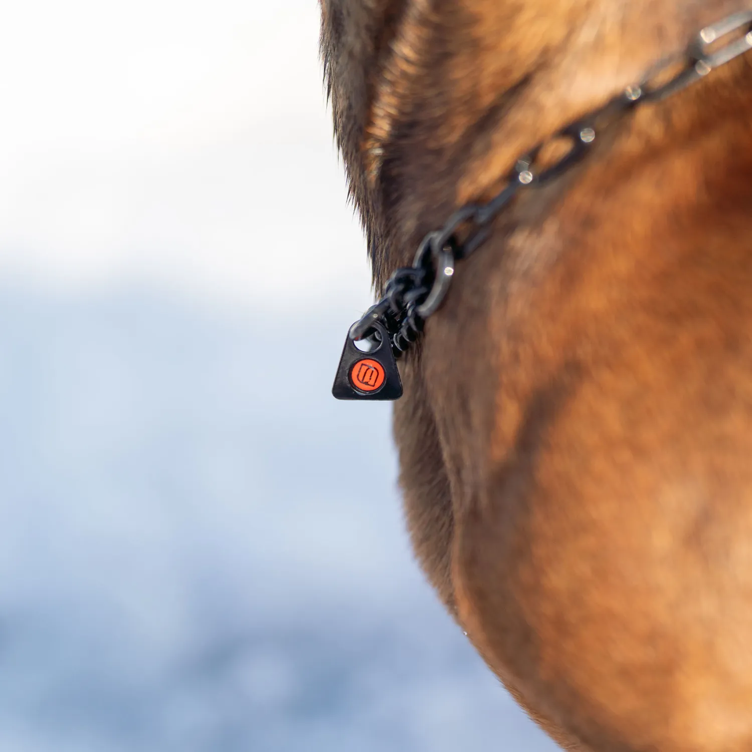 Herm Sprenger honden halsketting zwart 2,0 mm met stop