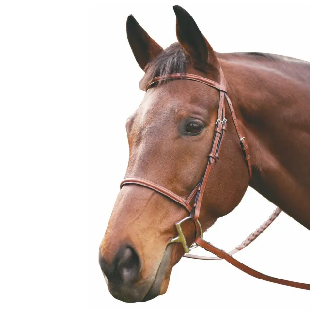 Henri de Rivel Advantage hoofdstel Havana Horse met teugels
