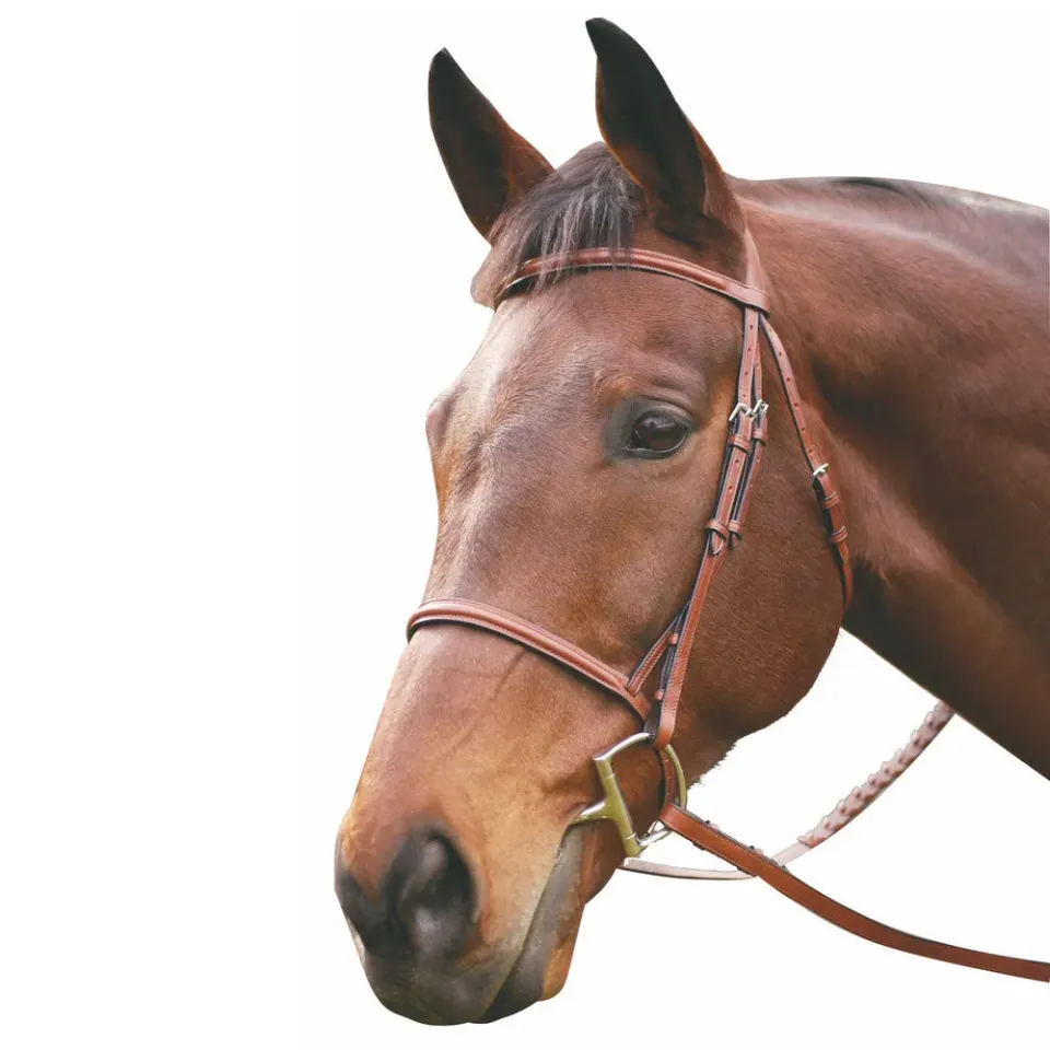 Henri de Rivel Advantage hoofdstel Havana Horse met teugels