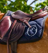 Vestrum Aldebaran Oornetje met Glitter Logo