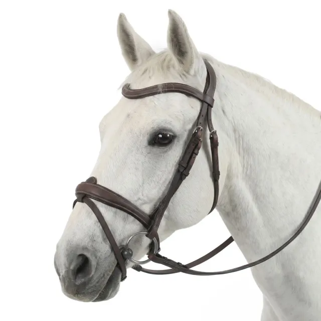 Henri de Rivel Americana hoofdstel Havana Horse anatomisch