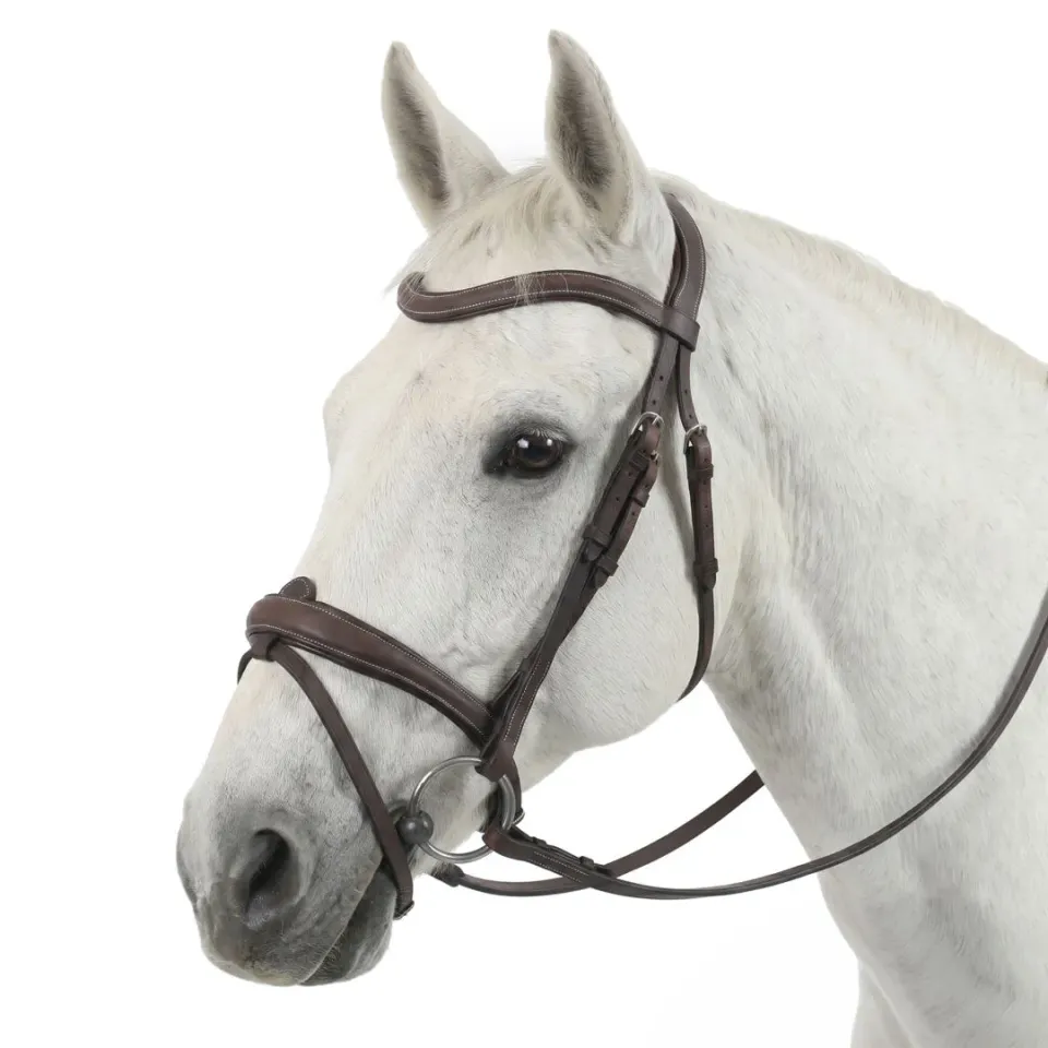 Henri de Rivel Americana hoofdstel Havana Horse anatomisch