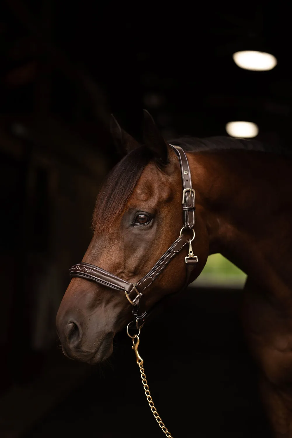 Henri de Rivel Stress Free halster australian nut cob