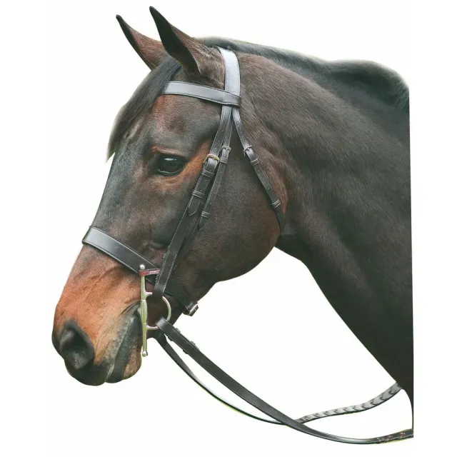 Henri de Rivel Advantage jachthoofdstel Havana met teugels