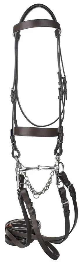 Henri de Rivel polo pelham hoofdstel leer havana cob