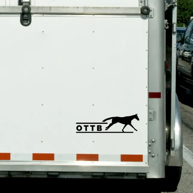 Dapplebay OTTB vinyl sticker zwart STD paardenliefhebber