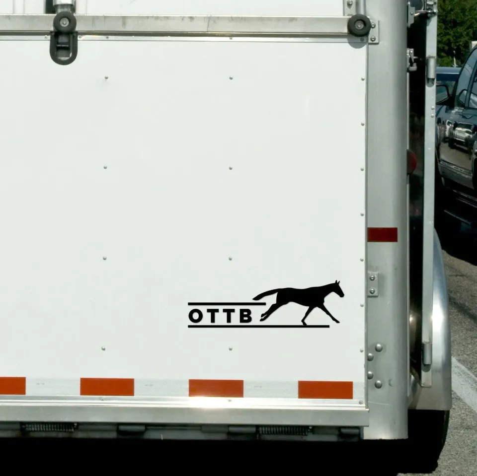 Dapplebay OTTB vinyl sticker zwart STD paardenliefhebber