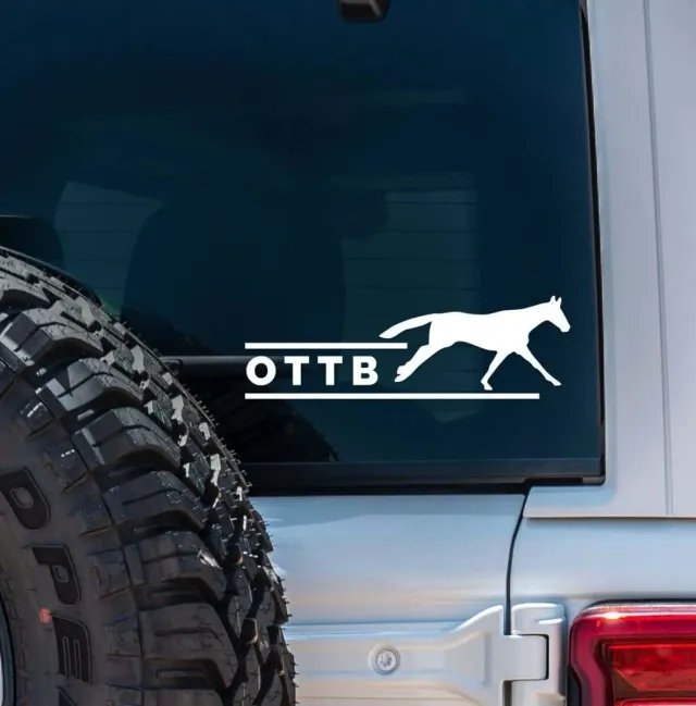 Dapplebay OTTB sticker Wit vinyl STD paardentrailer