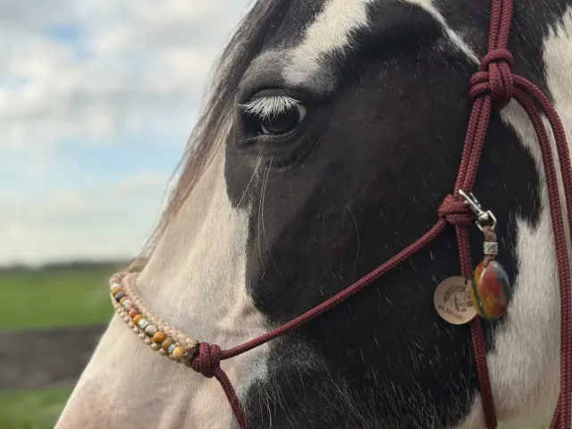 Mushabu Crystal Deluxe Mookaiet Jaspis touwhalster edelsteen