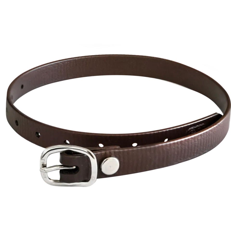 HS Sprenger sporenriem Biothane bruin 45 cm