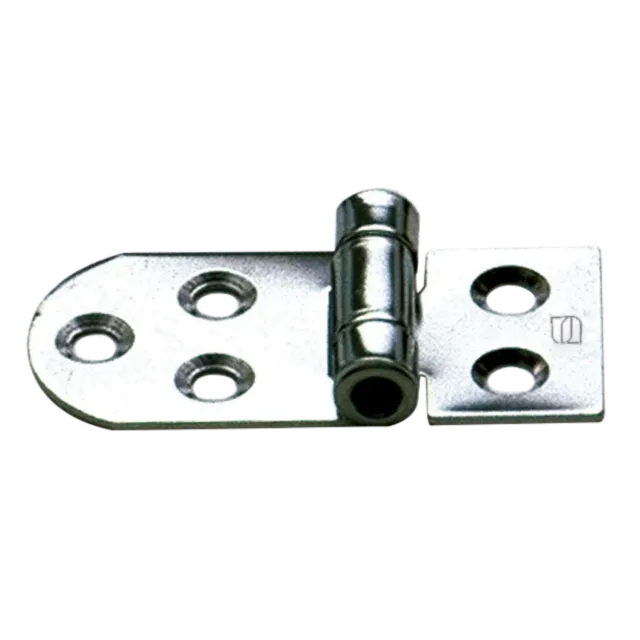 HS Sprenger scharnier RVS 5-gaats 65x30 mm