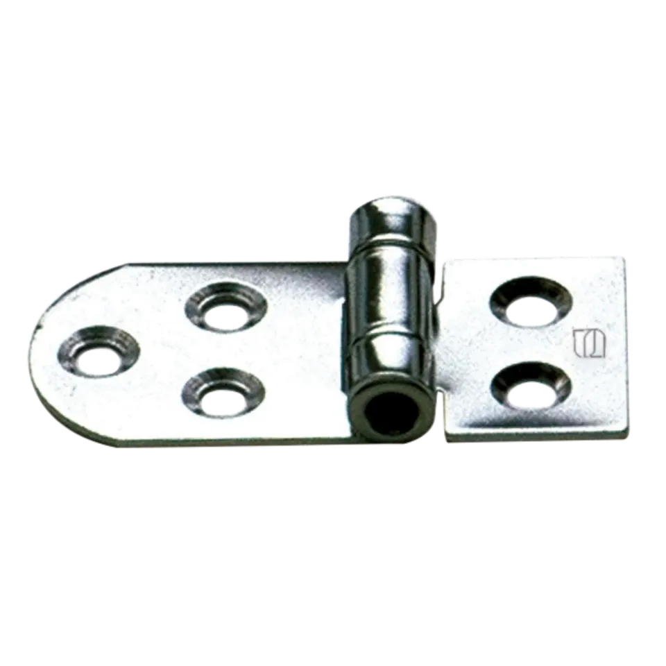 HS Sprenger scharnier RVS 5-gaats 65x30 mm