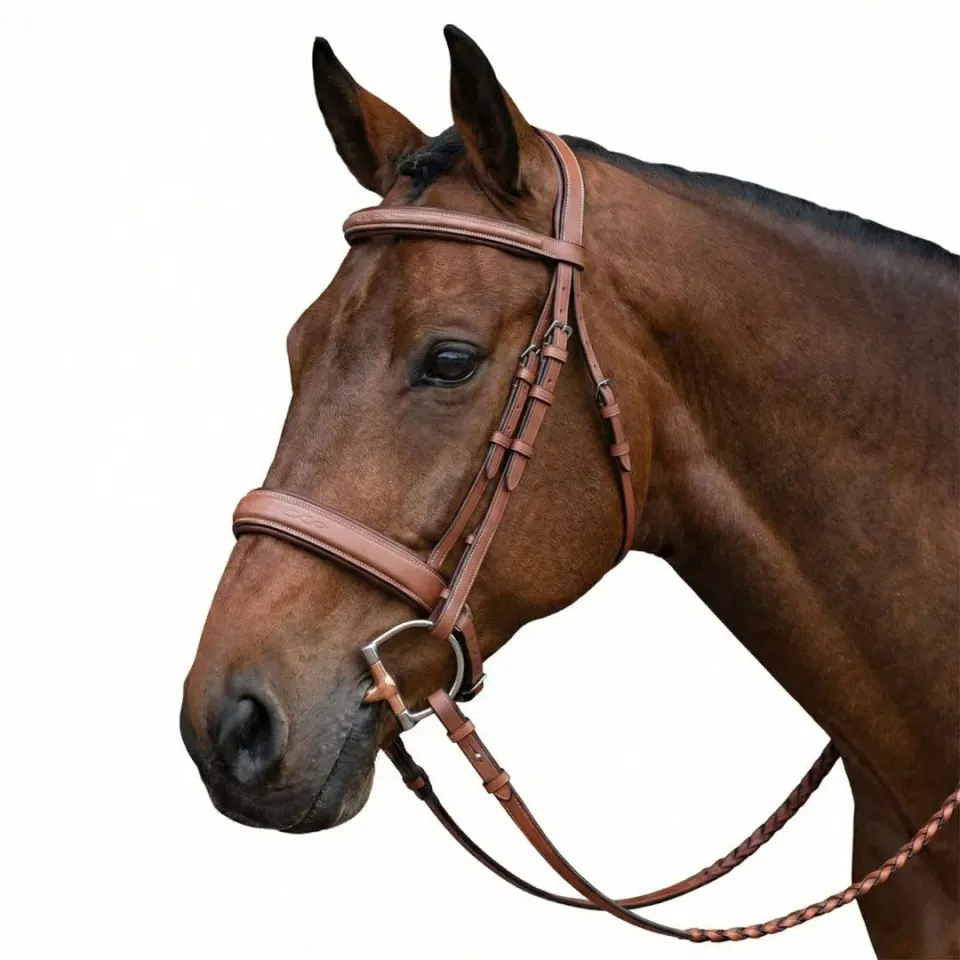 Henri de Rivel Laureate hoofdstel Oakbark Horse teugels