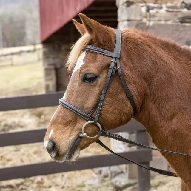 Henri de Rivel Pro Mono Crown hoofdstel havana horse gevoerd