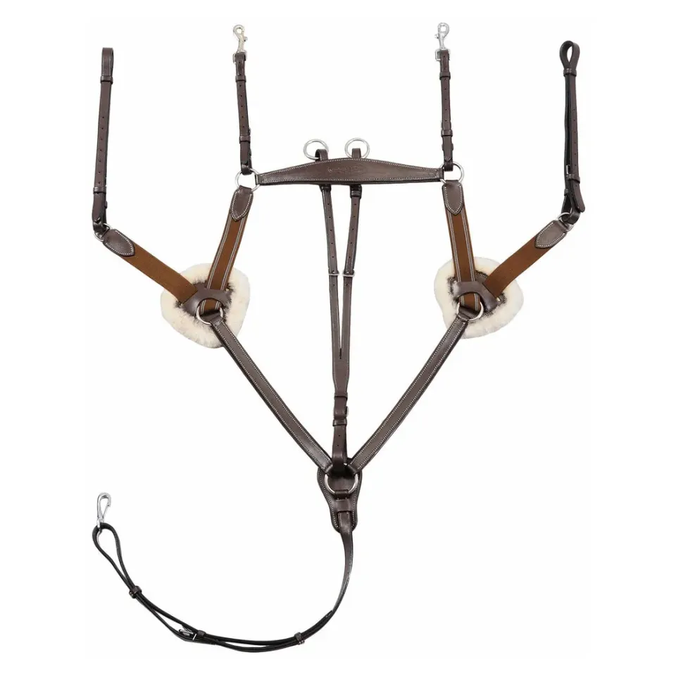 Henri de Rivel Pro 5 Point Elastic borsttuig zwart