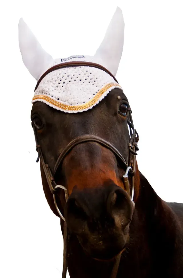 Equine Couture Fly Bonnet oornetje wit cob goudketting