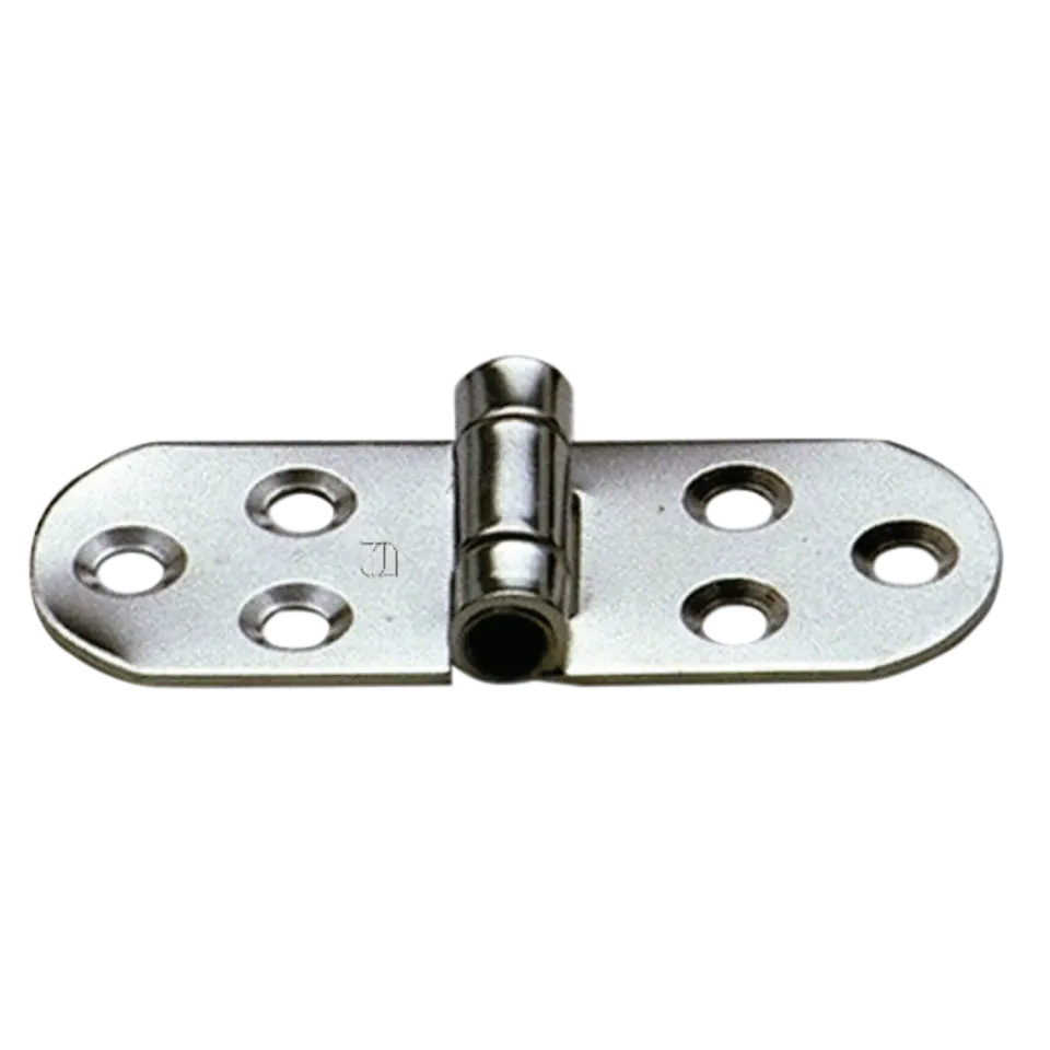 HS Sprenger Scharnier rvs 80 x 30 mm 6-gaats
