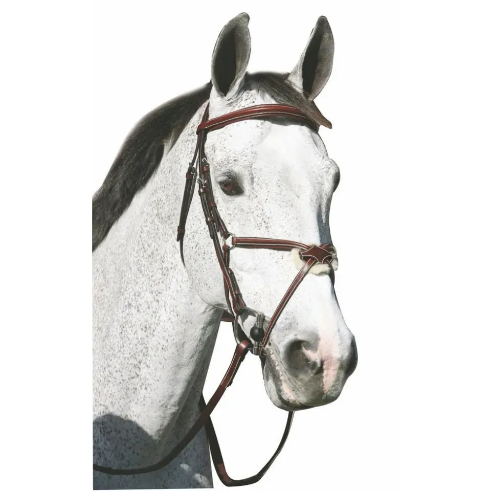 Henri de Rivel Pro Mono Crown hoofdstel Havana Oversize