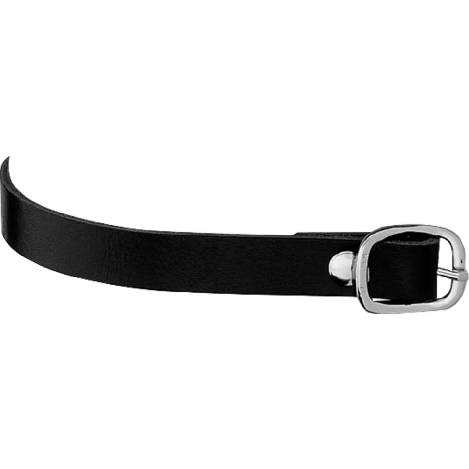 HS Sprenger sporenriemen leer zwart 45 cm zilver