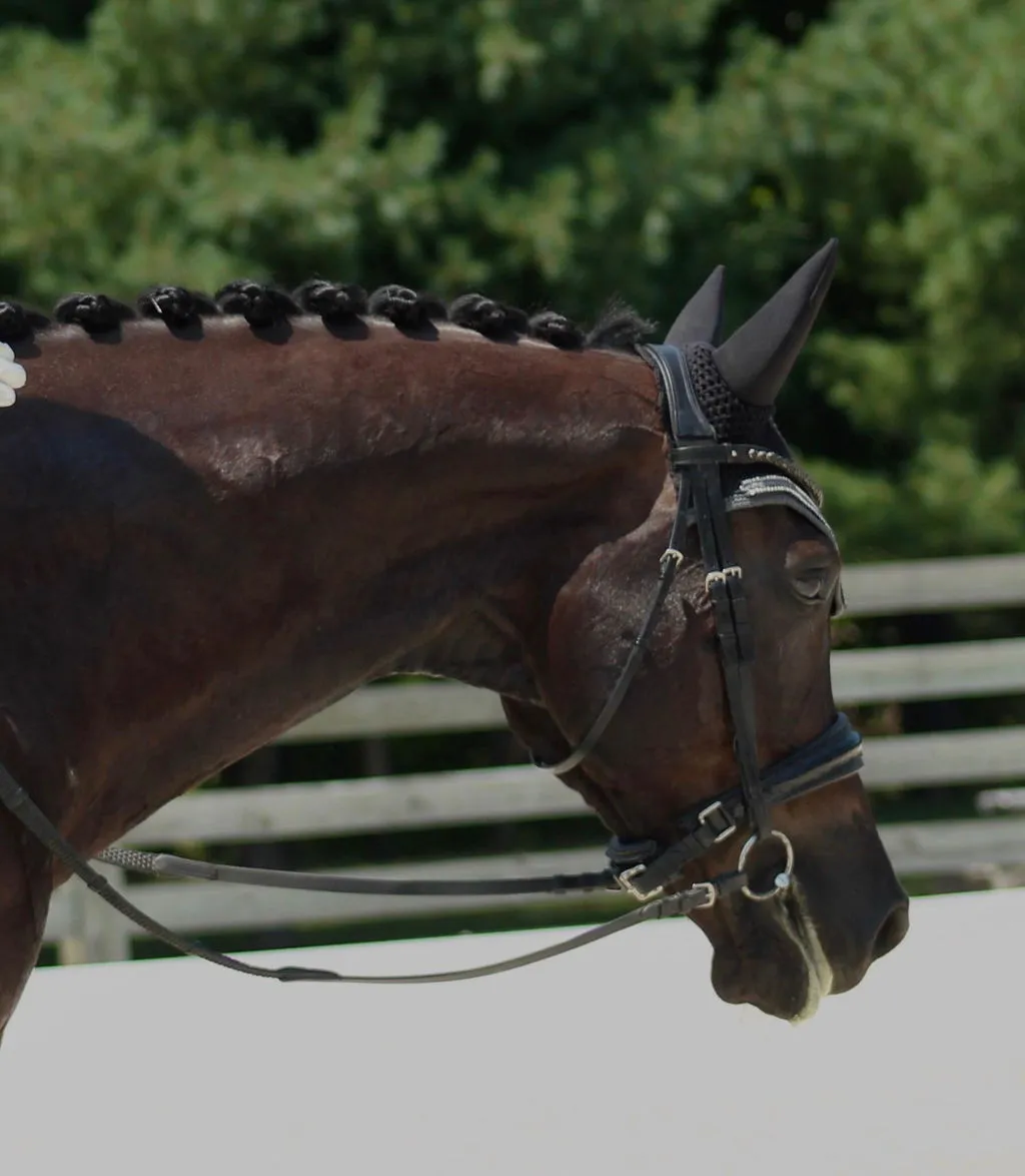 Quick Knot Deluxe Standaard vlechtclips zwart dunne manen