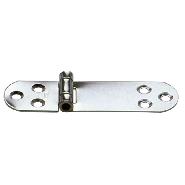 HS Sprenger Scharnier RVS 110 x 30 mm 6-Gats