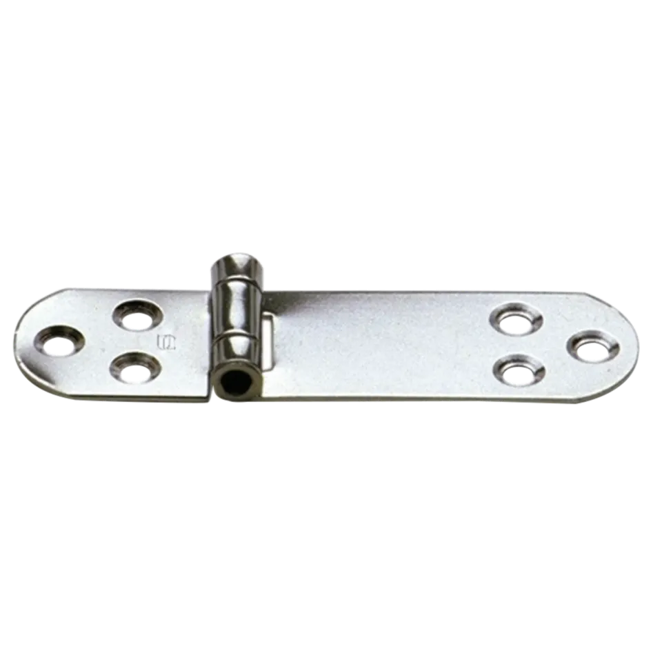 HS Sprenger Scharnier RVS 110 x 30 mm 6-Gats