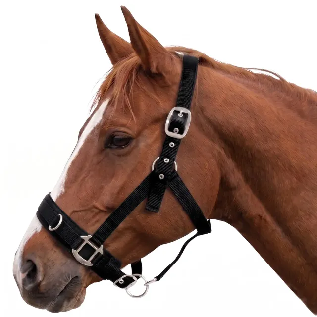 TuffRider Nylon Breakaway halster zwart Horse