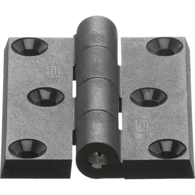 HS Sprenger scharnier kunststof 6-gaats 50x65 mm