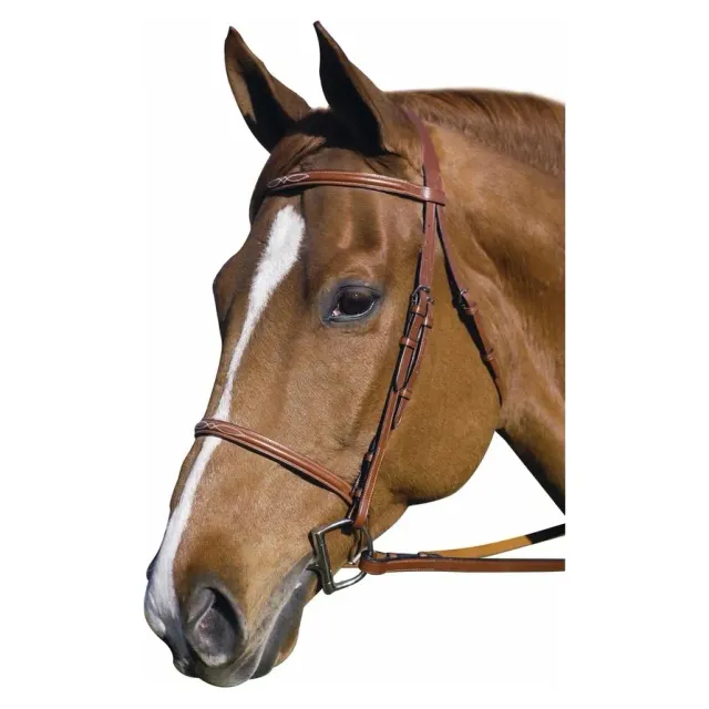 Henri de Rivel Pro Fancy Raised hoofdstel Havana Horse
