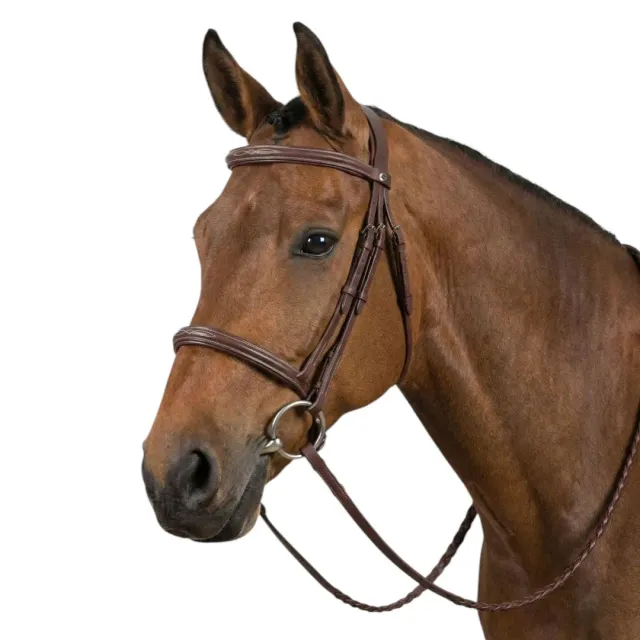 Henri de Rivel Advantage Fancy Raised rijhoofdstel havana