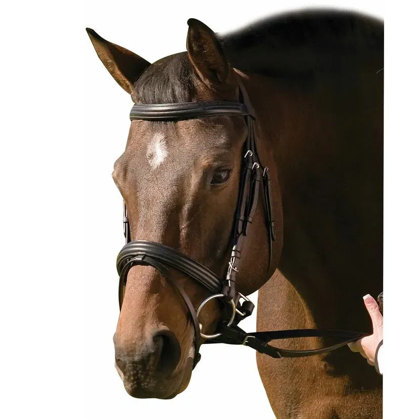 Henri de Rivel Pro Padded Raised dressuurhoofdstel zwart leer