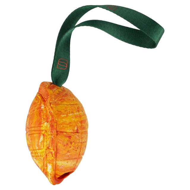 HS Sprenger Hondenspeelgoed Schildpad M Oranje 14 cm