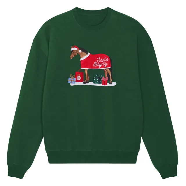 Dapplebay Santa Bay-by sweater donkergroen kerst