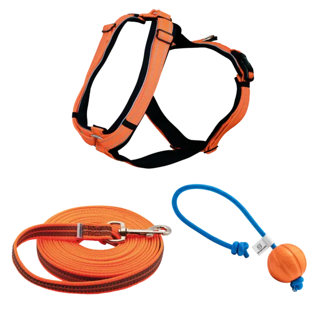 Sprenger Wandern mit Hund Hondenset Neon Oranje S