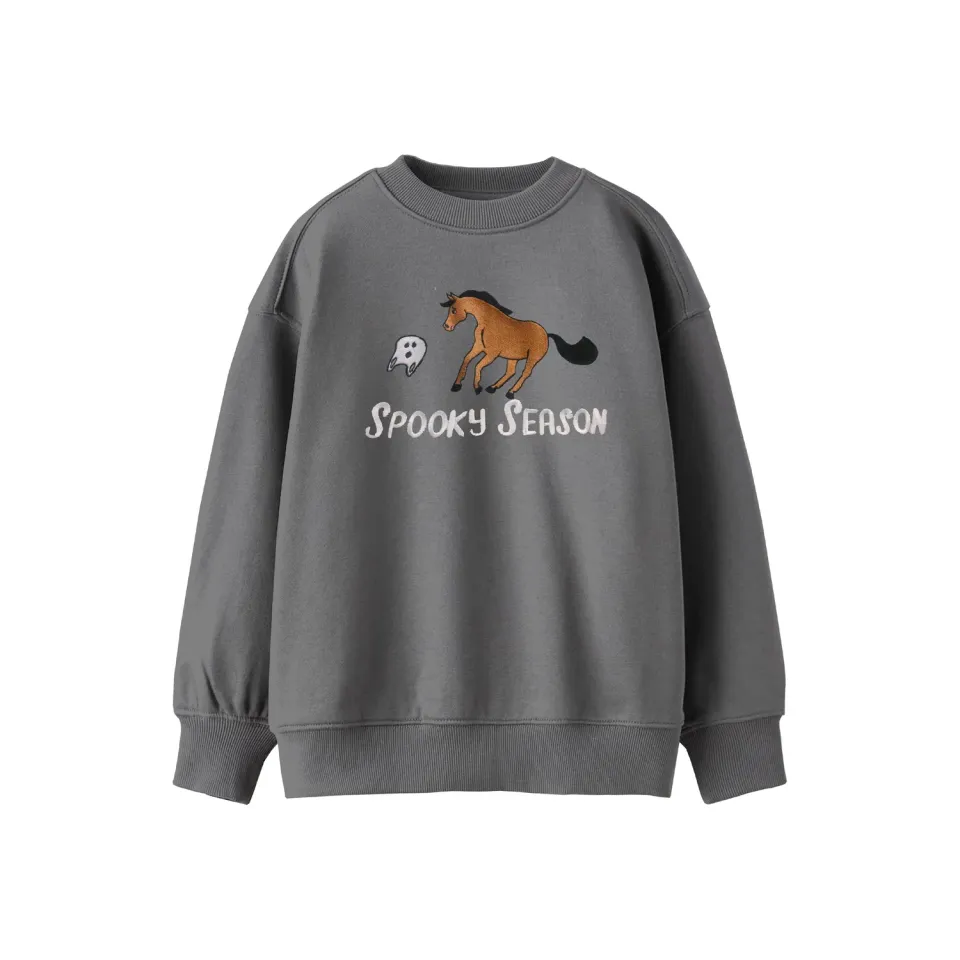 Dapplebay Spooky Season sweater grijs kind Halloween