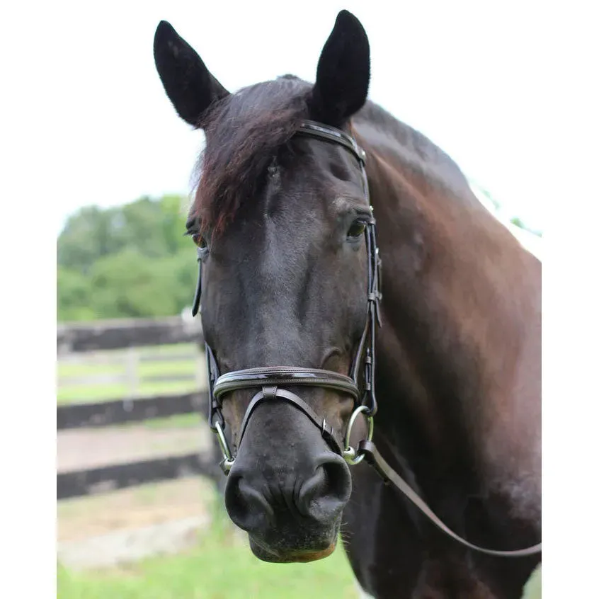 Henri de Rivel Pro Piaffe hoofdstel havana lak cob