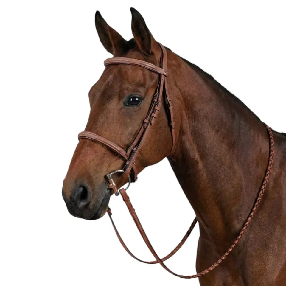 Henri de Rivel Laureate hoofdstel oakbark cob met teugels