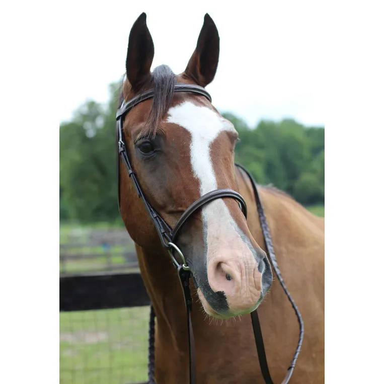 Henri de Rivel Pro Fancy Raised hoofdstel Havana Horse