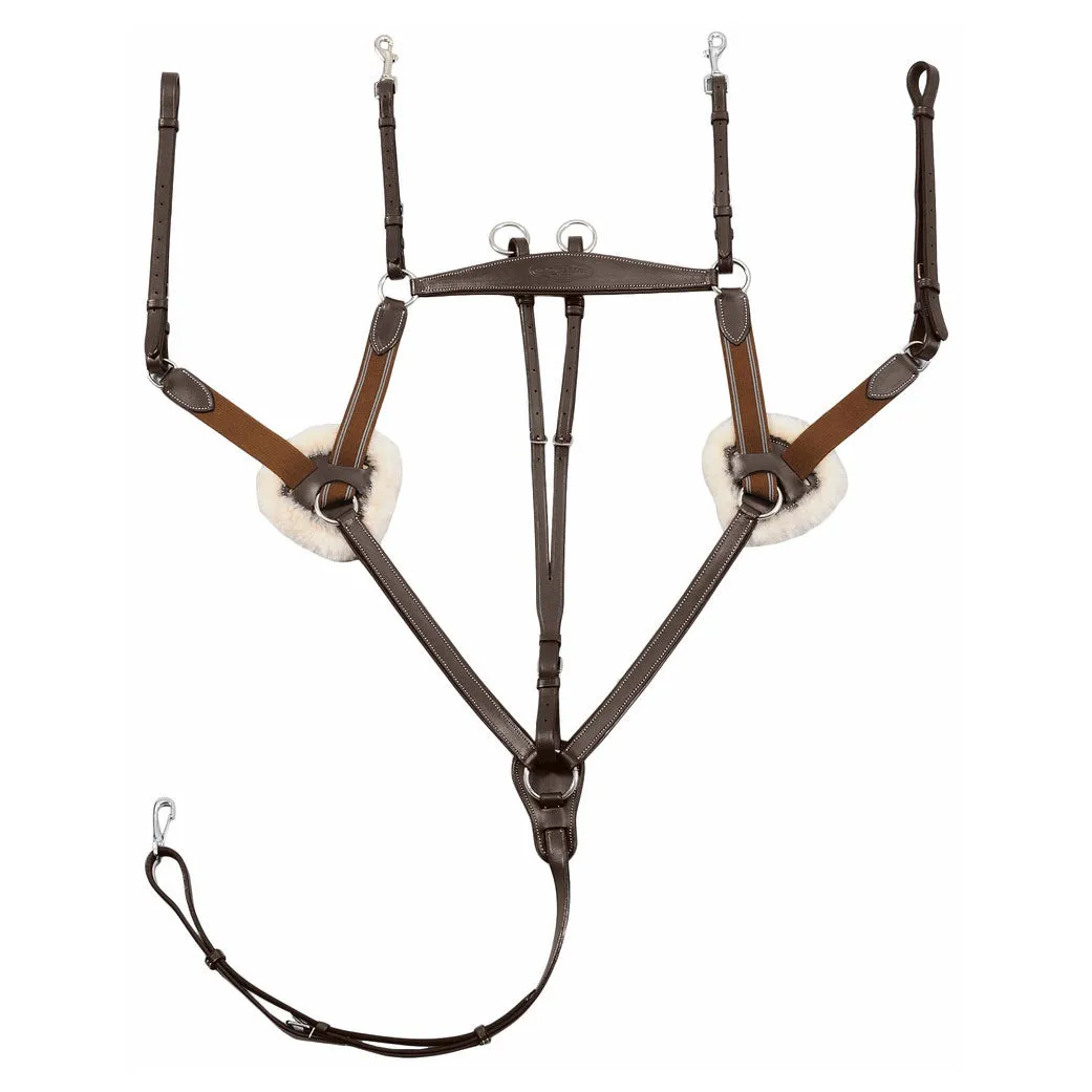 Henri de Rivel Pro 5 Point Elastic borsttuig zwart