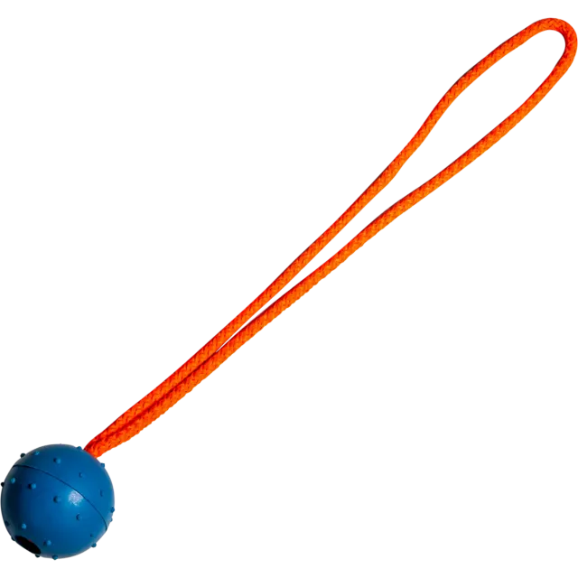 HS Sprenger Gummibal hondenspeelgoed oranje 7,5 cm