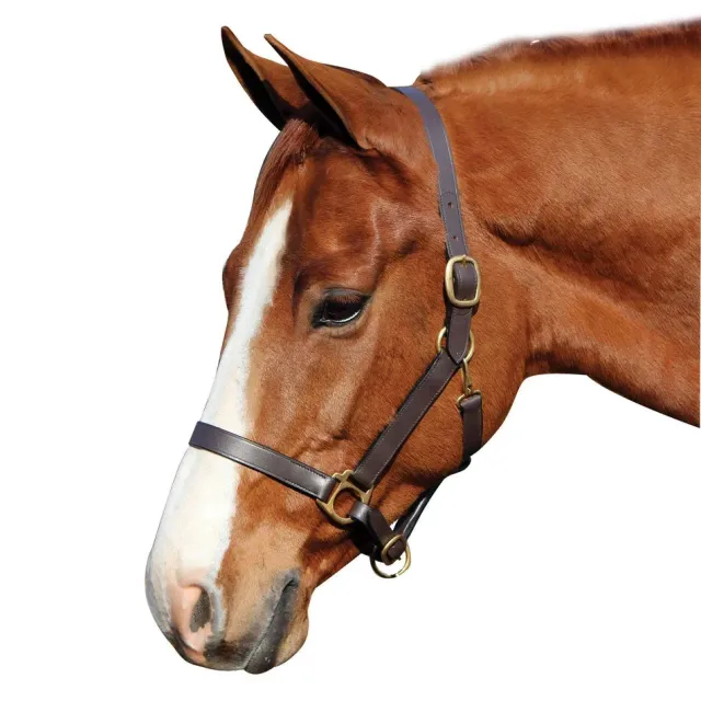 Henri de Rivel Advantage halster leer havana stevig