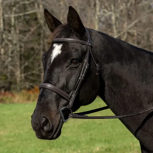 Henri de Rivel Pro hoofdstel Havana Cob mono crown teugels